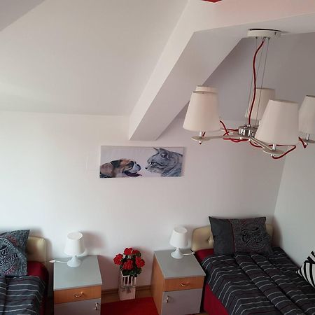 Lux Apartments With Pool Dex Zemun Polje Rom bilde