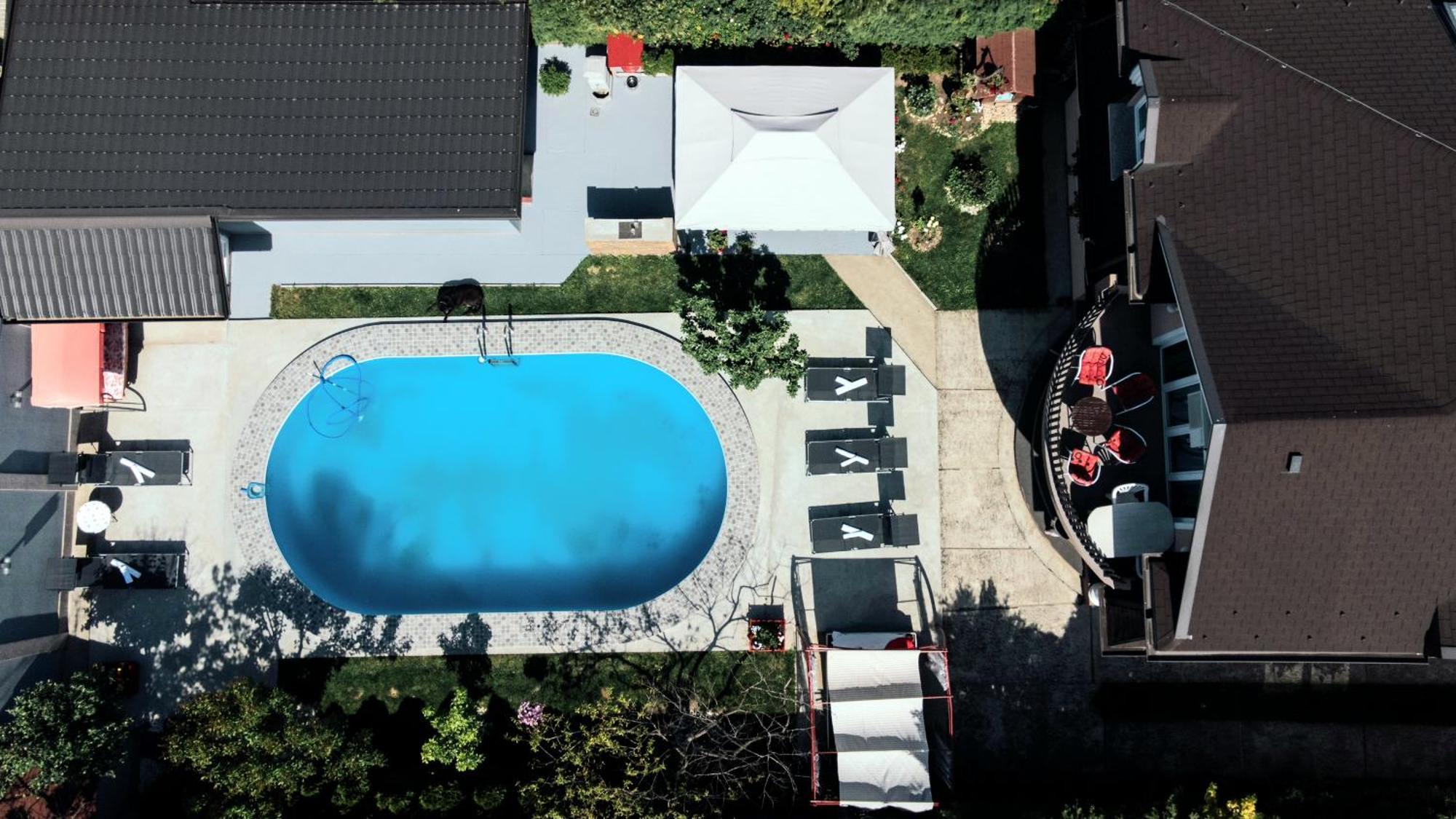 Lux Apartments With Pool Dex Zemun Polje Eksteriør bilde